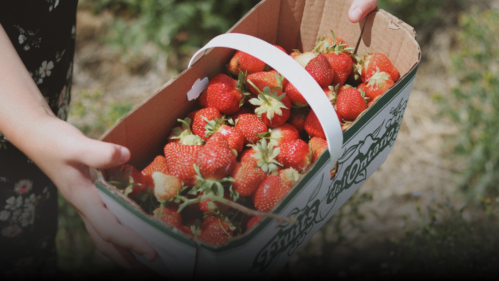 阿蘇・熊本の地元食材を使用したASOFORETのチョコレートとスイーツ